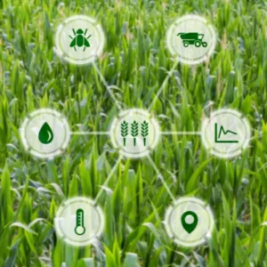 Scopri di più sull'articolo AgriTech