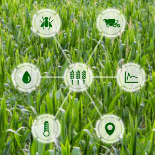 Scopri di più sull'articolo AgriTech