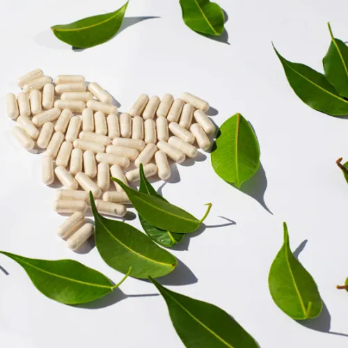 Al momento stai visualizzando Nutraceutica